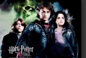 Harry Potter and The Goblet of Fire PC Game Free Download