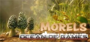 Morels The Hunt Spring PLAZA Free Download