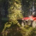 TheHunter Call of the Wild 2019 Edition Free Download