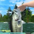 Fishing Adventure PLAZA Free Download