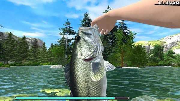 Fishing Adventure PLAZA Free Download