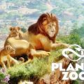 Planet Zoo EMPRESS Free Download