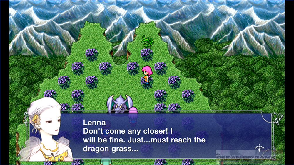 Final Fantasy V Features