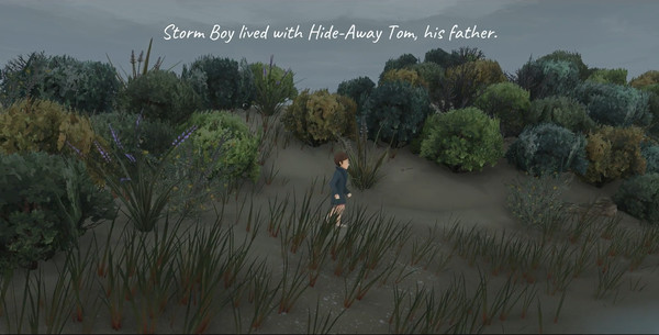 Storm Boy Free Download