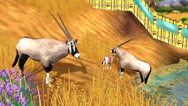 Wildlife Park 3 Africa Free Download