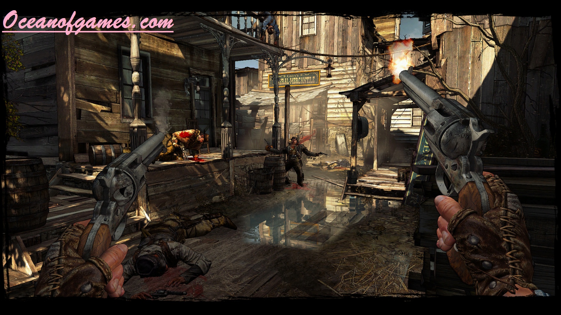 Call of Juarez Gunslinger