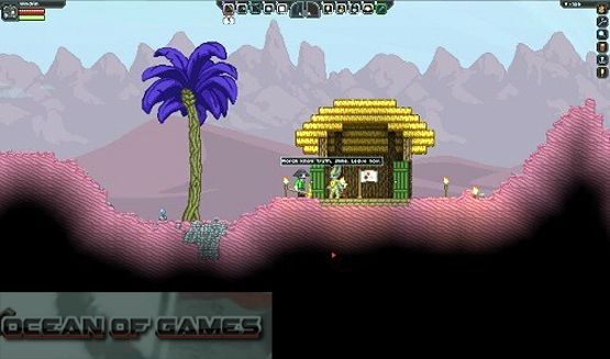 Starbound Features