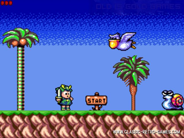 Wonder Boy Game Features