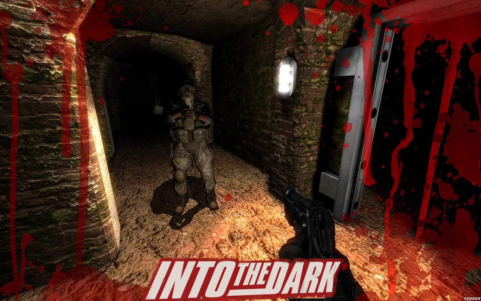 Into the dark logo